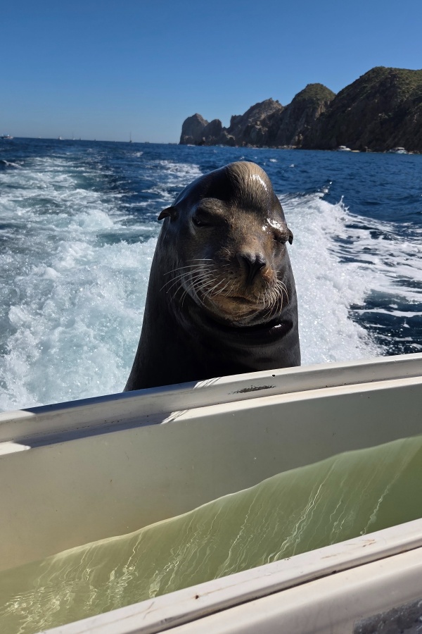 Cruise Brothers Travel Agent Faith Dupre